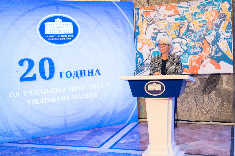 prijem 20 godina UN