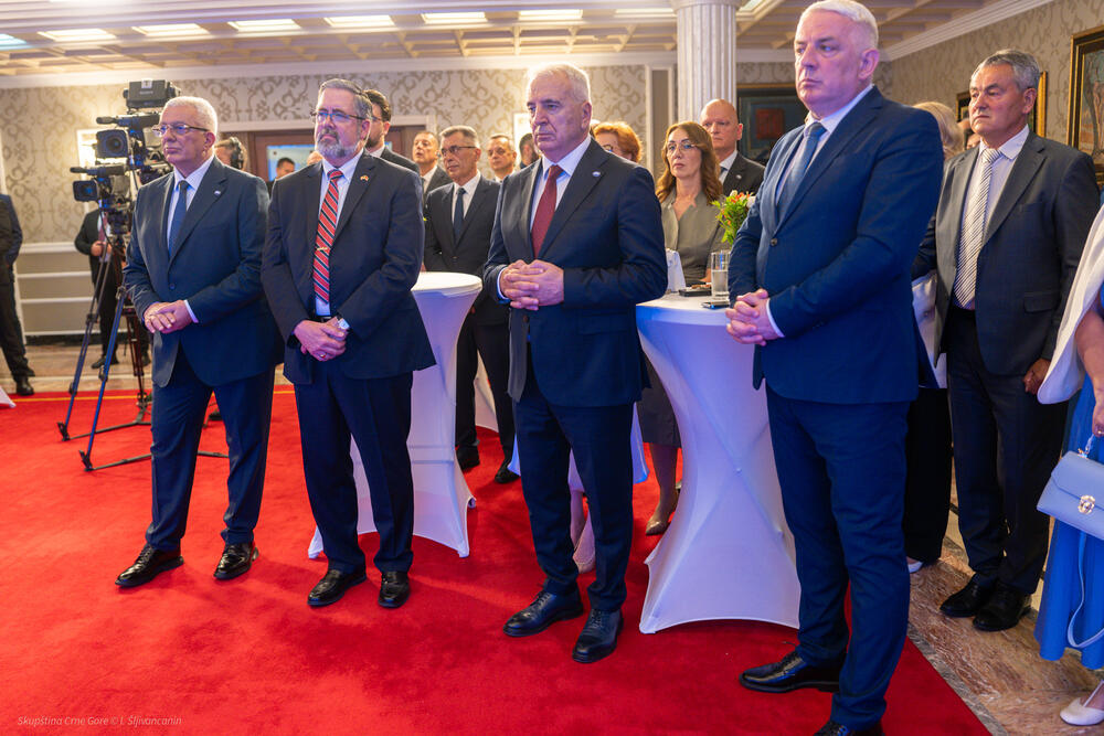 <p>"Na Kosovu polju naši preci su dali svoj odgovor istoriji. Oni su pokazali da pripadaju tadašnjoj hrišćanskoj Evropi, Evropi koja je vjerovala u život vječni, u carstvo nebesko, u čast i slobodu kao najviše vrijednosti. Taj odgovor nije bio samo ratnički. On je bio duhovni, moralni i civilizacijski"</p>