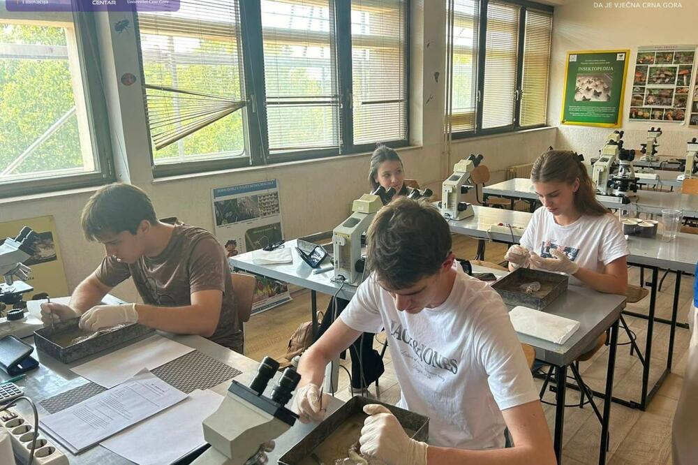 Foto: Ministarstvo prosvjete, nauke i inovacija