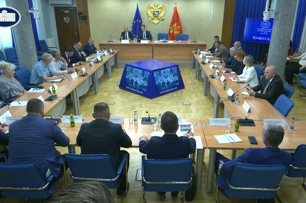 Sa sjednice Odbora, Foto: Screenshot/Skupština Crne Gore
