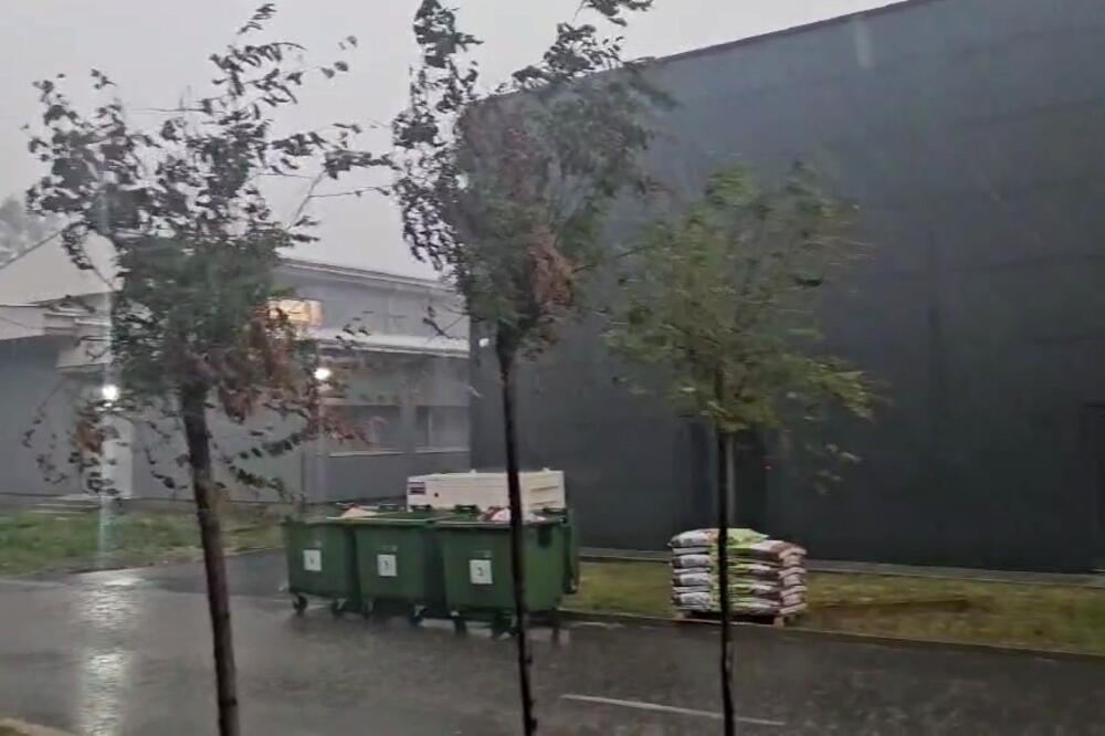 Foto: Jadranka Ćetković