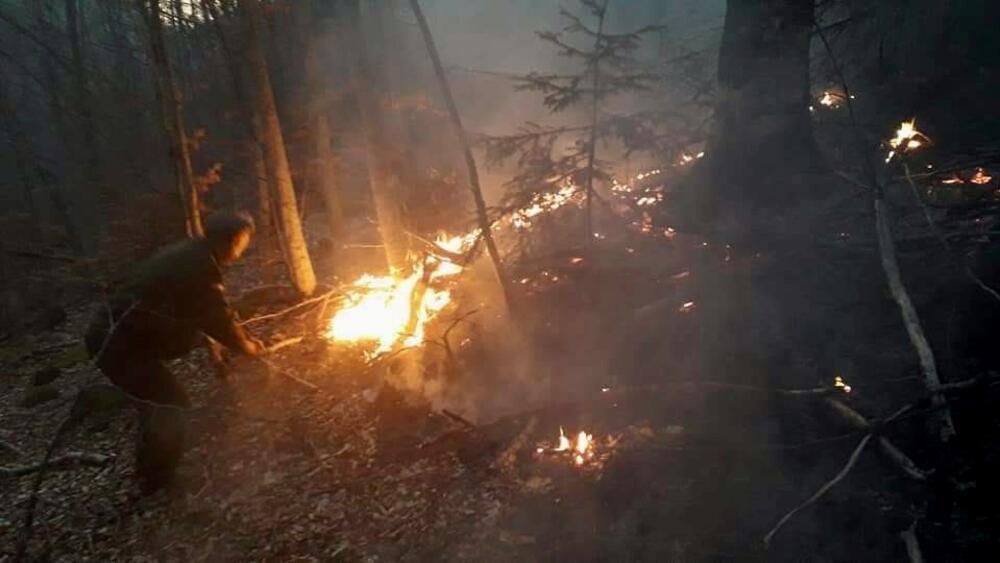 Izvor: Uprava za gazdovanje šumama i lovištima Crne Gore