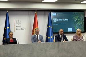 Ćulafić: Mreža Natura 2000 otkriva da "siva" infrastruktura nije u...