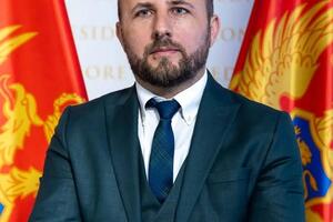 Lakić traži hitnu sjednicu Savjeta za odbranu i bezbjednost zbog...