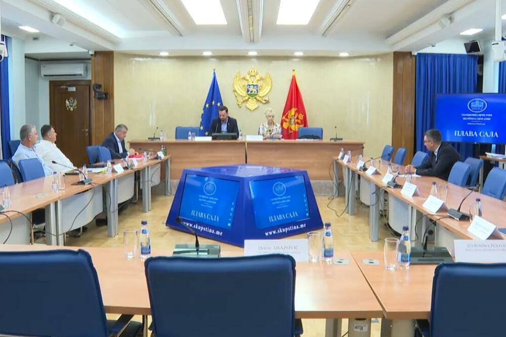 Foto: Screenshot/TV Vijesti