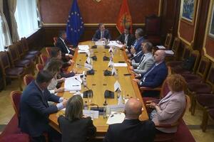 Odbor za ekonomiju predložio usvajanje: Skupština da mijenja način...