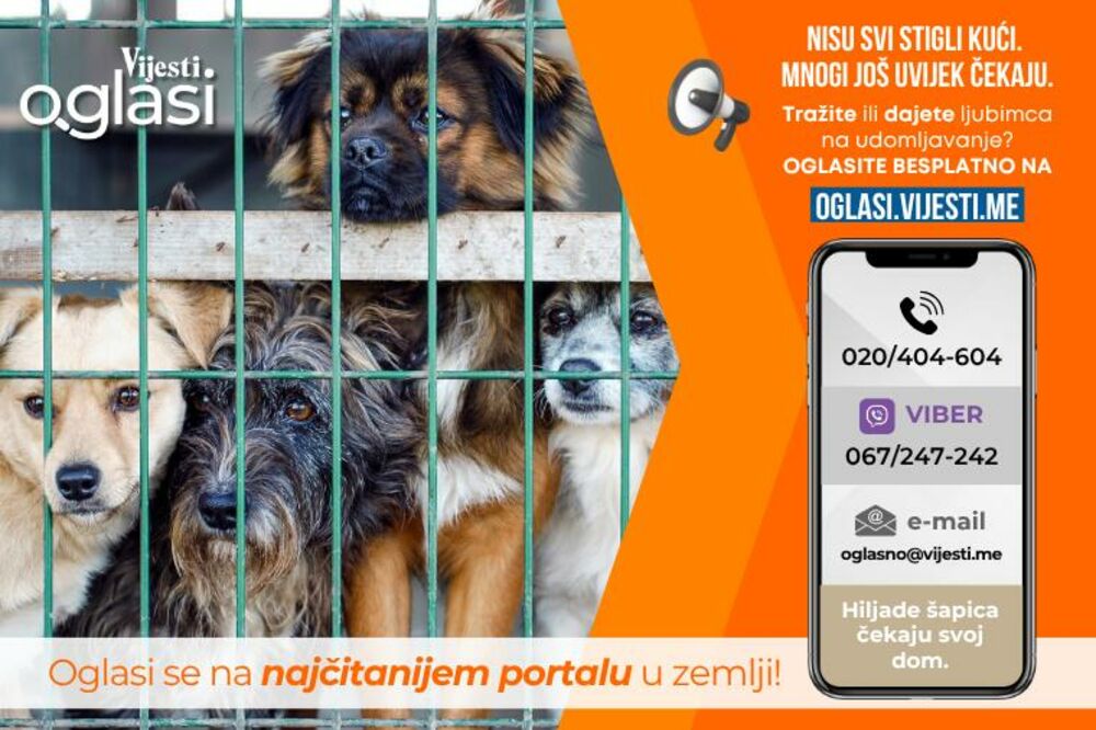Foto: Vijesti