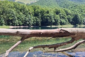 Biogradska gora najčešća meta divljih graditelja
