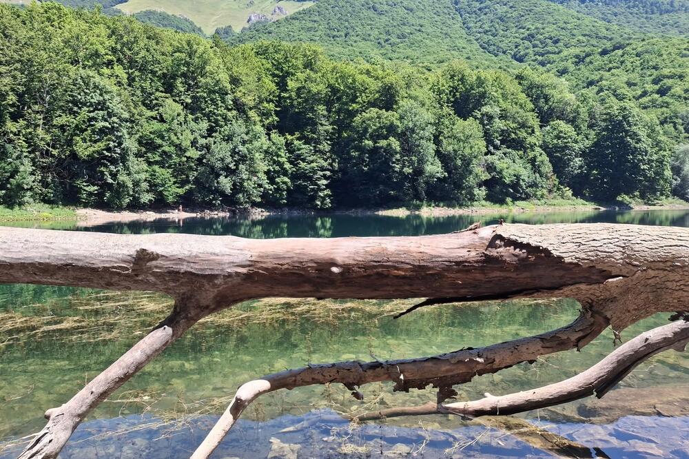 Najviše nelegalne gradnje u NP &ldquo;Biogradska gora&rdquo; (ilustracija), Foto: Privatna arhiva