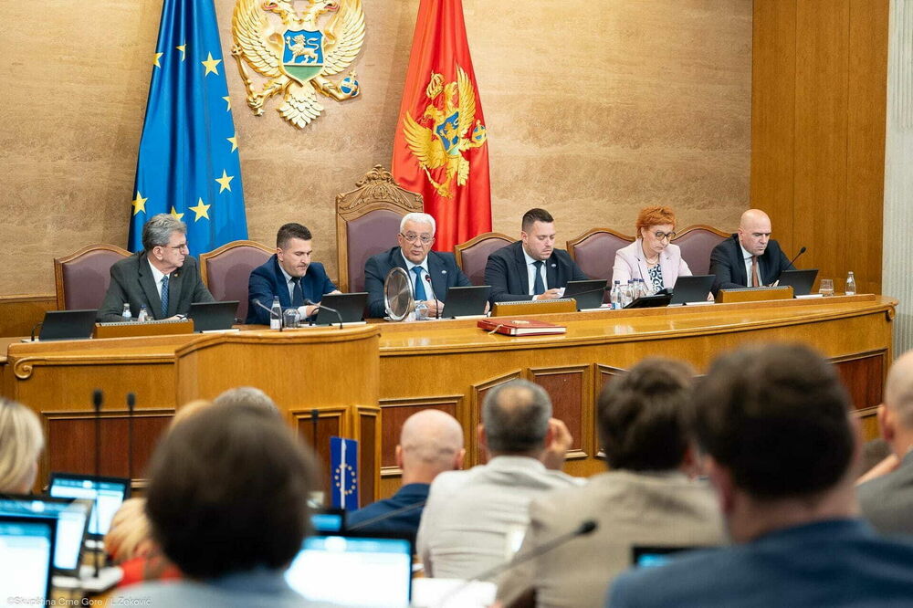 Za izmjene Ustava potrebna 54 glasa poslanika: detalj iz parlamenta, Foto: Skupstina
