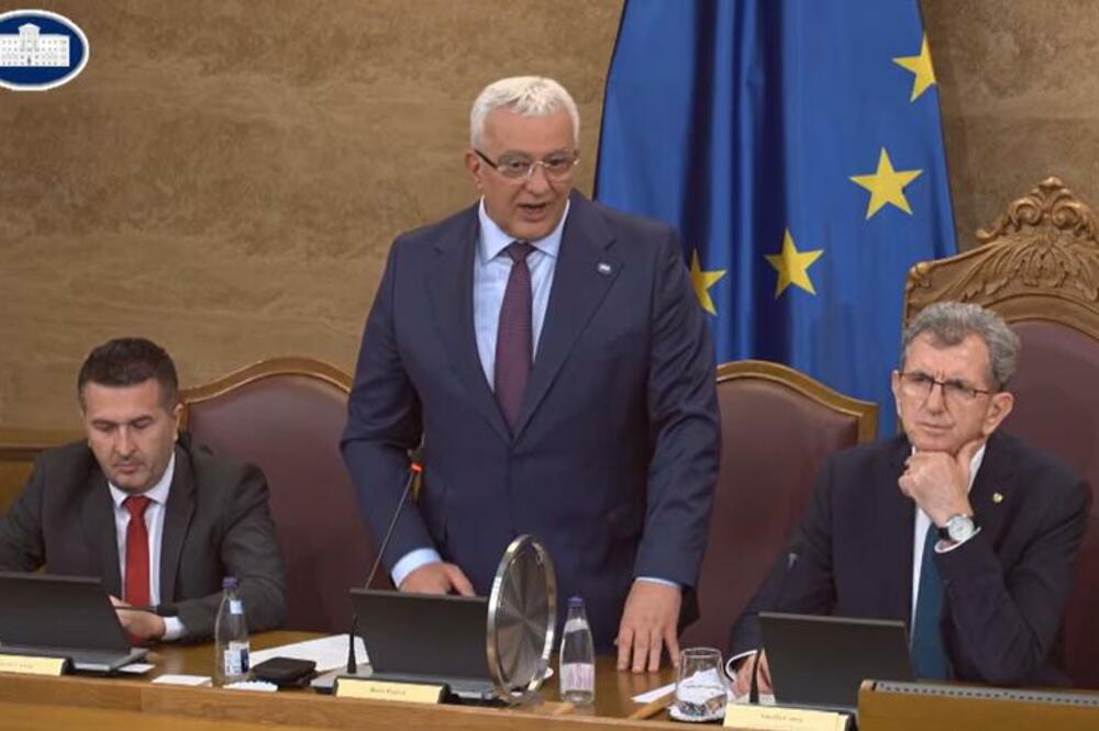 Foto: Printscreen/Youtube/Skupština Crne Gore