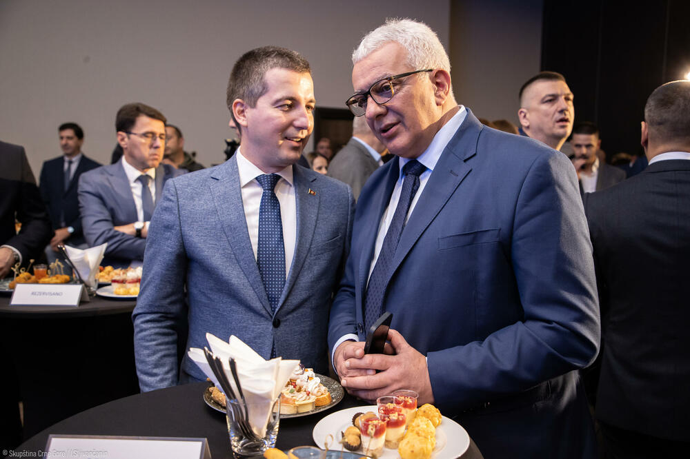 &ldquo;Podvojena politika&rdquo;: Bečić i Mandić, Foto: Skupština