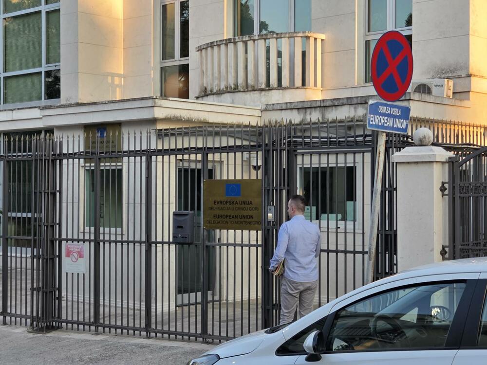 Bogdanović ispred Delegacije EU