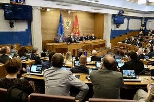 Spajić: Neće biti kamena koji nećemo prevrnuti da nađemo rješenja...