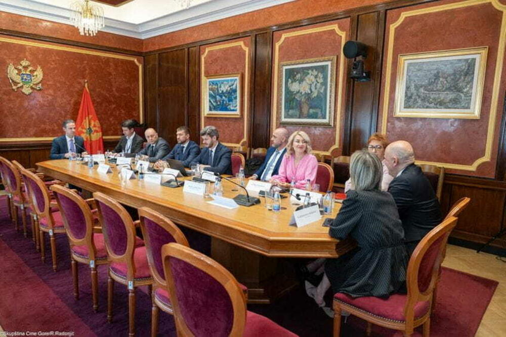 Saslušanja kandidata 20. jula: Odbor za ekonomiju, Foto: Skupština CG