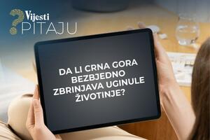 Vijesti pitaju: Da li bezbjedno zbrinjavate uginule životinje?
