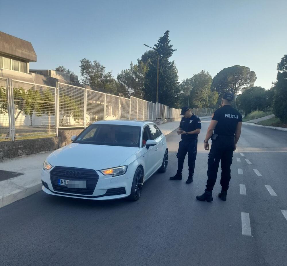 <p>Prvi put ove godine, u okviru projekta &bdquo;Sigurna turistička sezona&ldquo; će biti angažovani i policijski službenici iz Bosne i Hercegovine</p>