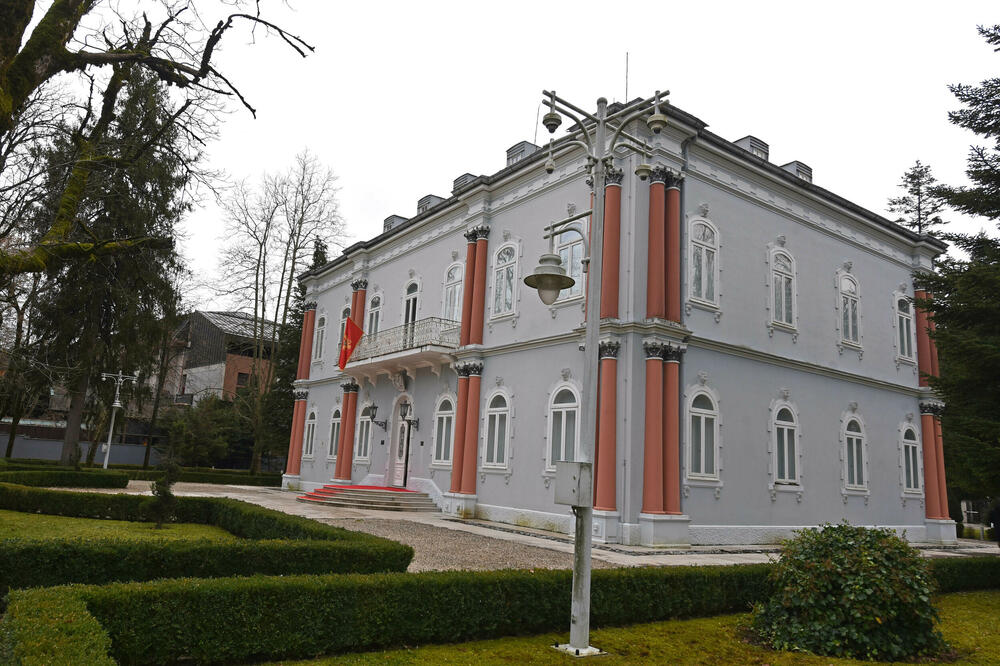Plavi dvorac na Cetinju (ilustracija), Foto: Boris Pejović