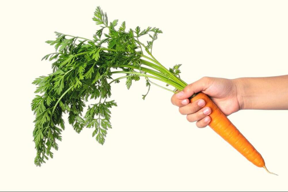 Foto: Shutterstock