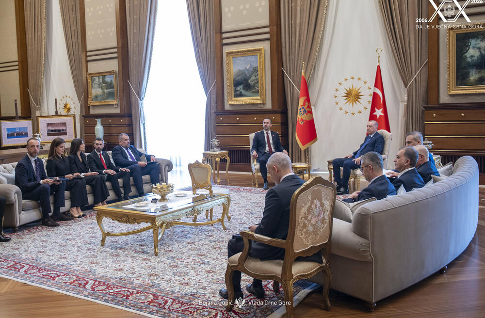 Spajić i Erdogan