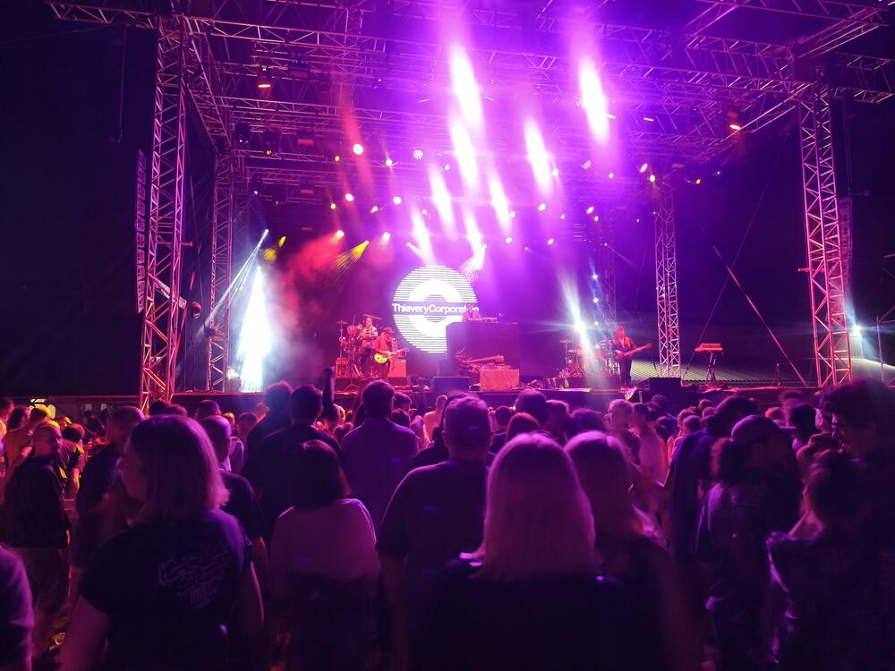 Thievery Corporation