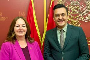 Vuković: Crna Gora ostvaruje vidljive rezultate u sprovođenju...
