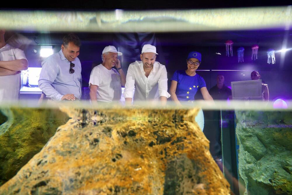 Akcija podvodnog čišćenja Bokokotorskog zaliva