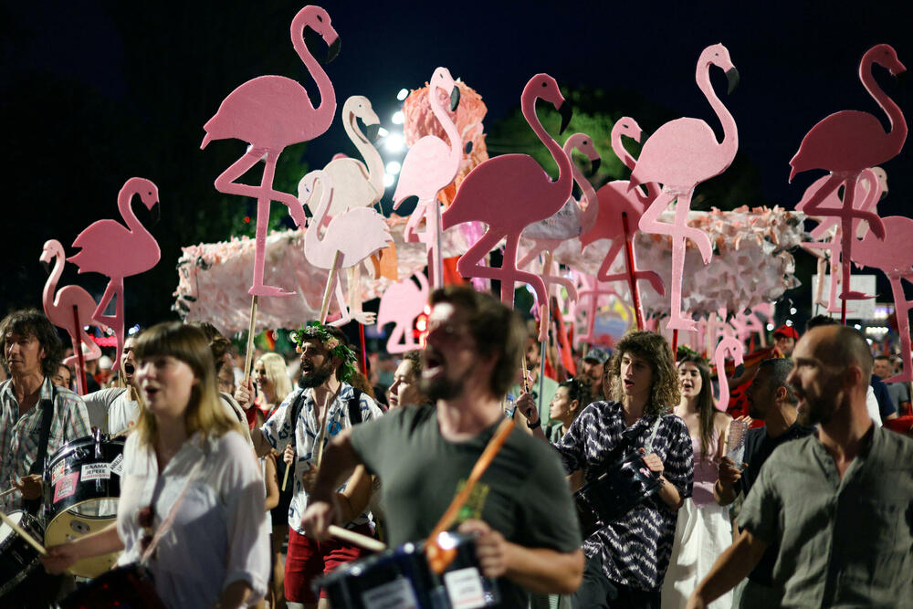 protest Flamingosi