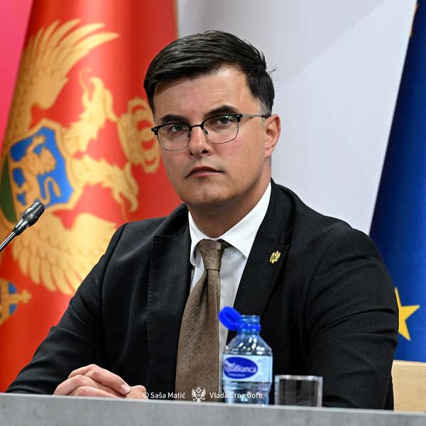 Šaranović: Vulević'in liderlerin seçimini etkileme gücü vardı...