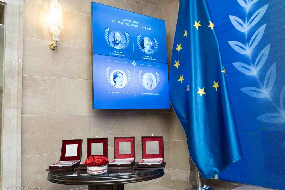 <p>U saopštenju se navodi da je uručujući nagrade, predsjednik Skupštine Crne Gore Andrija Mandić čestitao ovogodišnjim dobitnicima i zahvalio članovima žirija, koji su svoj posao obavili u pozitivnoj atmosferi i u veoma kratkom roku</p>