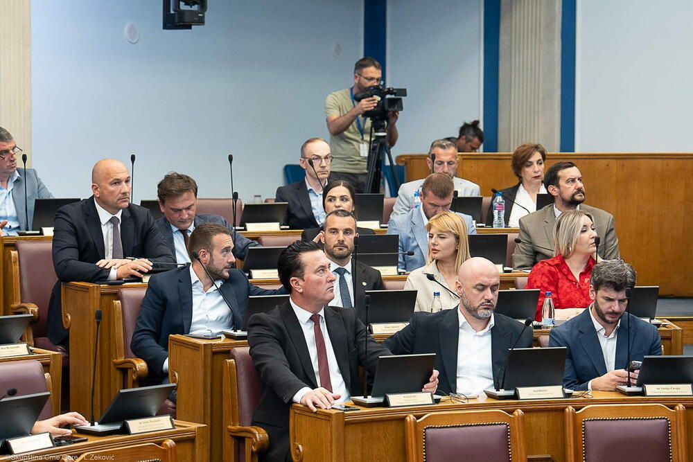 PES će podržati kandidaturu Ružičić za sudiju Ustavnog suda