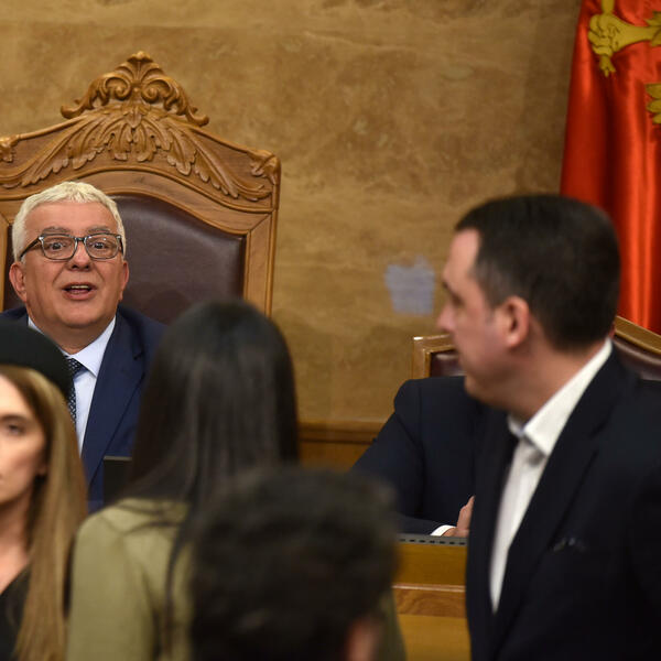 Хто «вкрав» поправку про імунітет: Чому проєкт поправки...