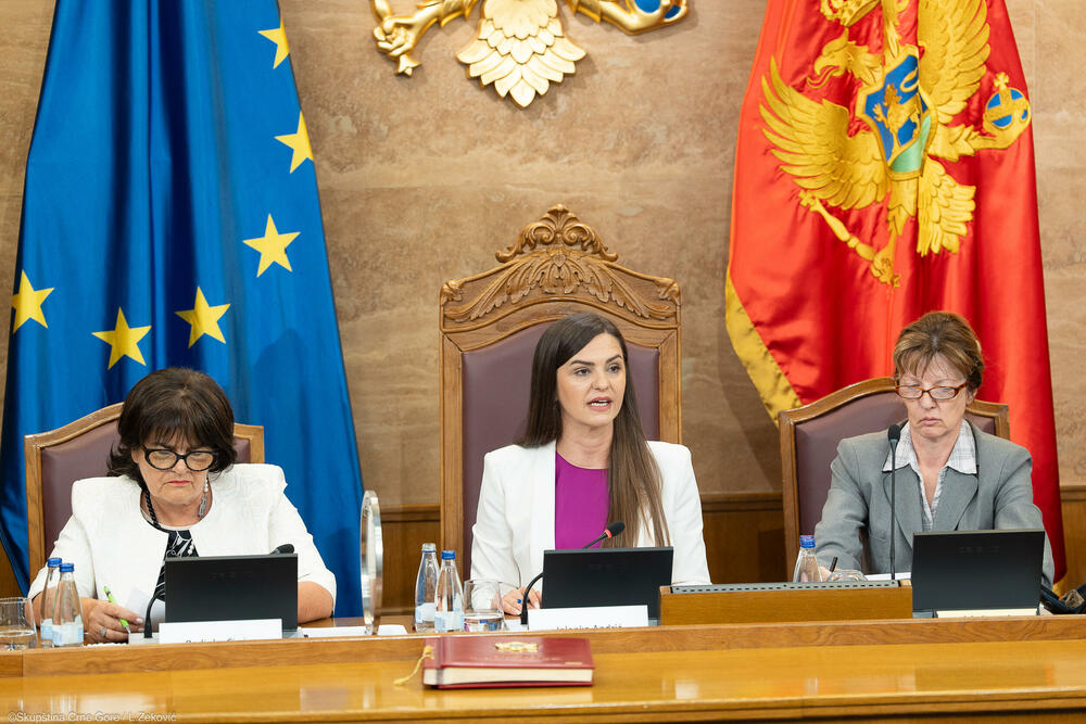 <p>Predsjednik Skupštine Andrija Mandić je, kako je saopšteno iz Skupštine, otvorio zasijedanje Ženskog parlamenta, posvećeno obilježavanju 25 godina od osnivanja Odbora za rodnu ravnopravnost, prvog institucionalnog mehanizma za rodnu ravnopravnost u Crnoj Gori</p>