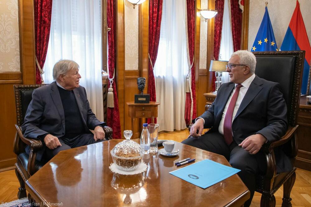 &ldquo;Topli zec&rdquo; zbog podrške zakonu: princ Nikola i Mandić (arhiva), Foto: Skupština