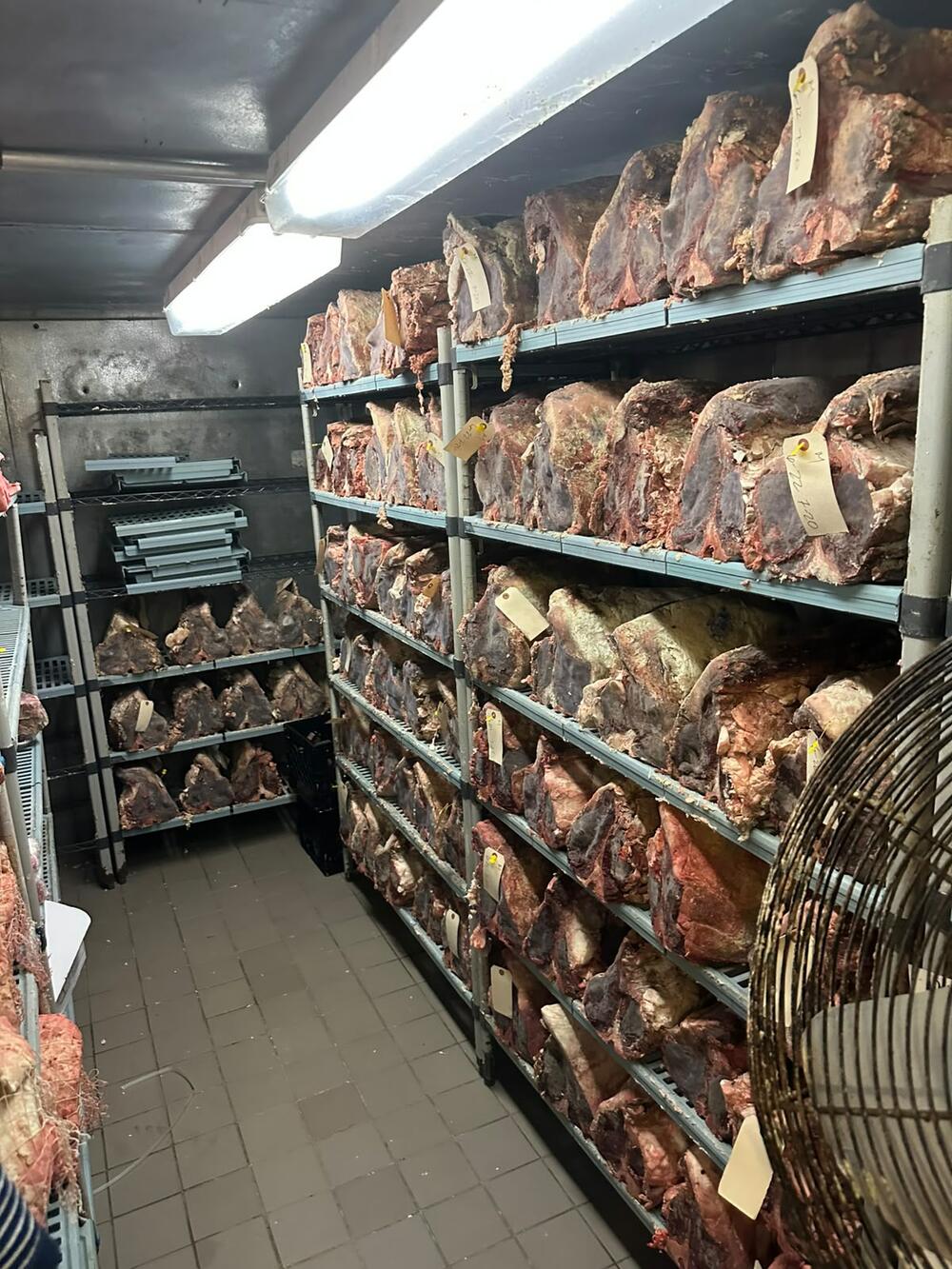 Dry aged Zija Musića