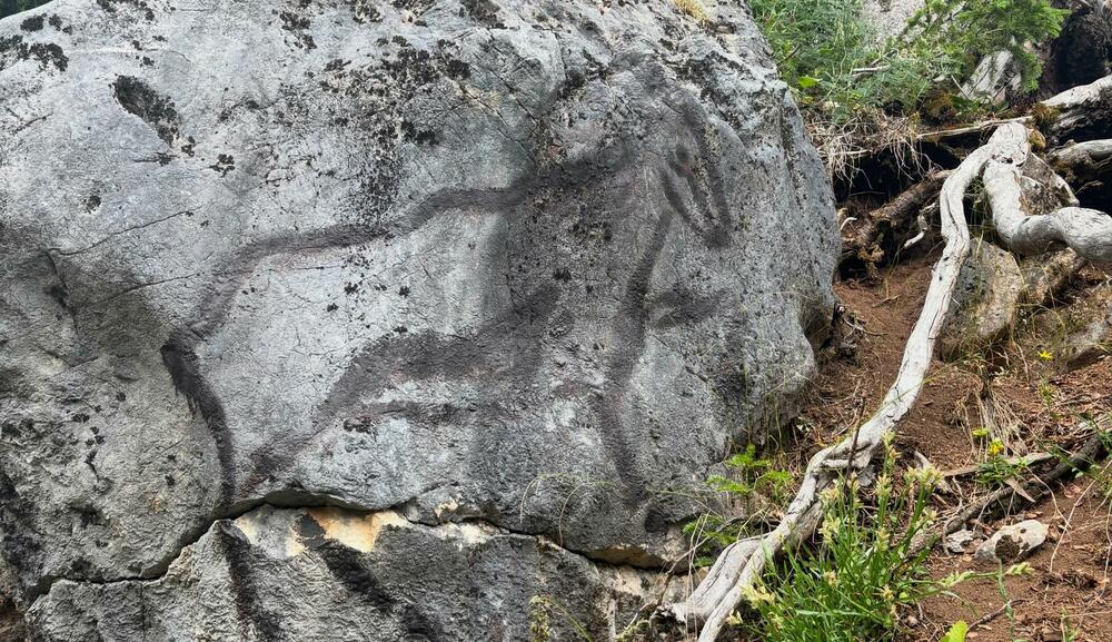 <p>Umjetnička grupa New Cave Art spojila tradiciju, prirodu i savremeni land art kroz monumentalne piktograme na travi i stijeni</p>