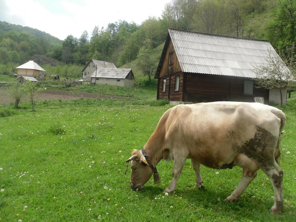 Za mlade farmere u Kolašinu daju do 4.000 eura