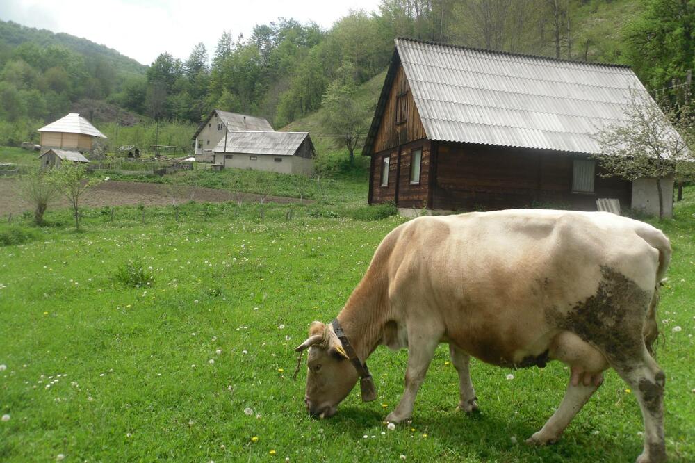 Iz jednog od kolašinskih sela, Foto: Privatna arhiva