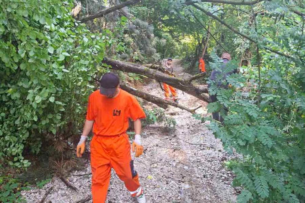 Foto: Opština Bijelo Polje
