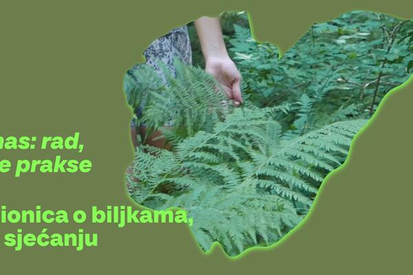 O pitanjima rada u umjetnosti i kulturi