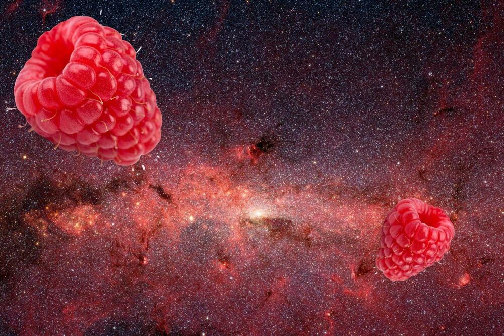 Foto: Nasa/JPL-Caltech/S Stolovy (SSC/Caltech) et al (galaxy) & R Tsubin via Getty Images (raspberries)