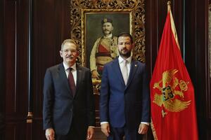 Milatović: Podrška Njemačke ključna za završetak evropskog puta...