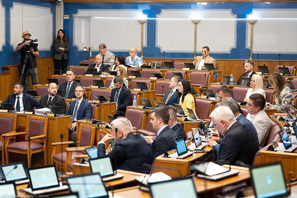 CGO: Crna Gora ima ubjedljivo najveći broj poslanika u odnosu na...