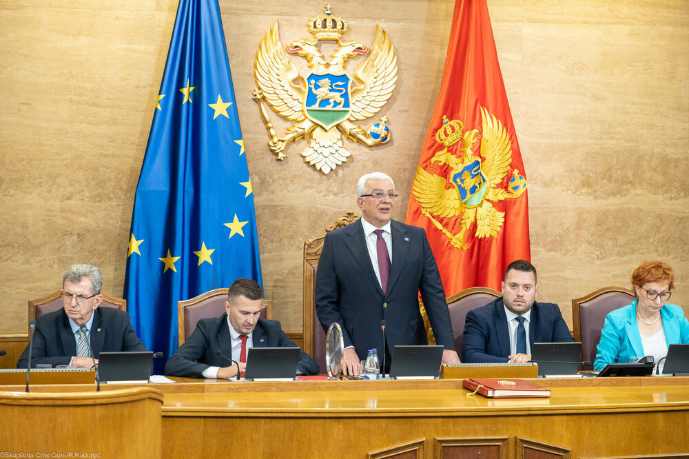 Mandić govori u Skupštini, Foto: Skupština Crne Gore