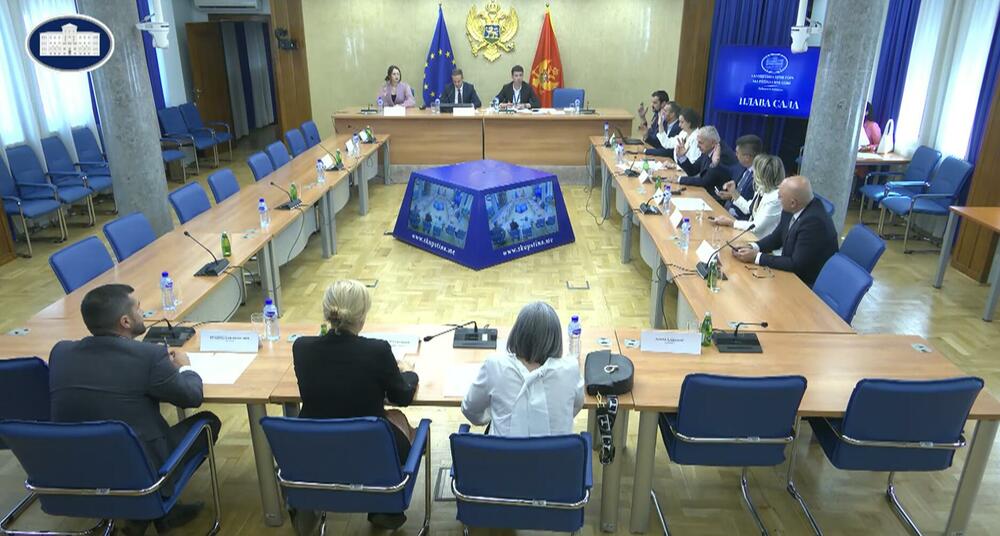 Odbor za ekonomiju "za" izmjene Zakona o slobodnim zonama:...
