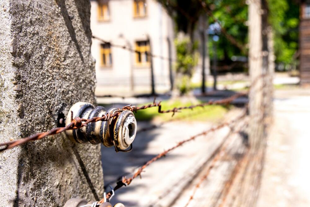 Ilustracija, Foto: Shutterstock