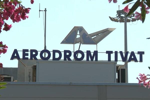 Ptice poremetile saobraćaj na aerodromu u Tivtu, iz ACG-a tvrde da...