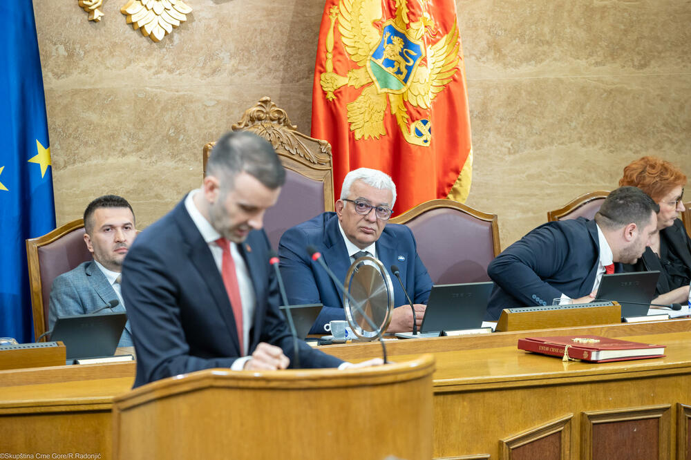U odsustvu premijera, šef parlamenta profitirao i simbolički: Spajić i Mandić, Foto: Skupština Crne Gore