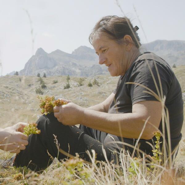 "Planina" u takmičarskoj selekciji 32. Sarajevo Film Festivala