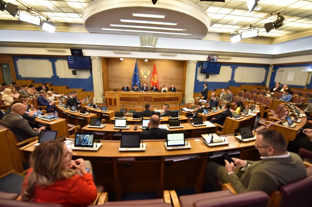 Sa sjednice, Foto: Boris Pejović